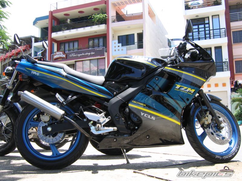 2008 YAMAHA TZM 150 | Picture 622728 motorcycle photo