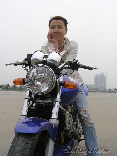 1996 HONDA CB 250 HORNET | Picture 622754 motorcycle photo