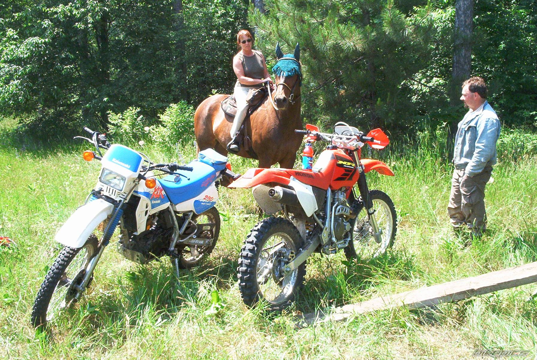 2002 HONDA XR 400 | Picture 62344 motorcycle photo