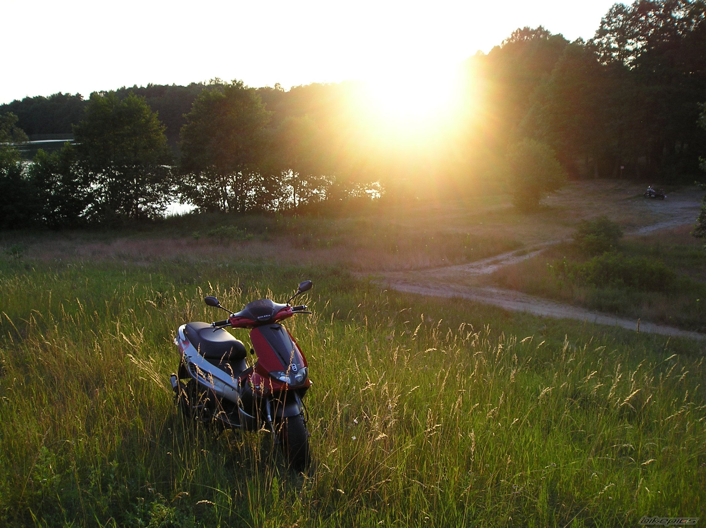 2003 GILERA RUNNER 50 | Picture 623676 motorcycle photo
