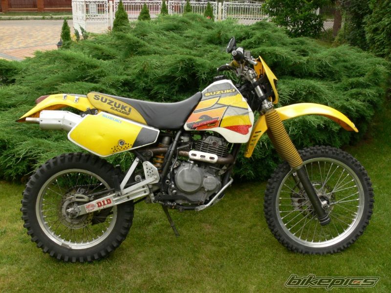 1993 SUZUKI DR 350 | Picture 623719 motorcycle photo