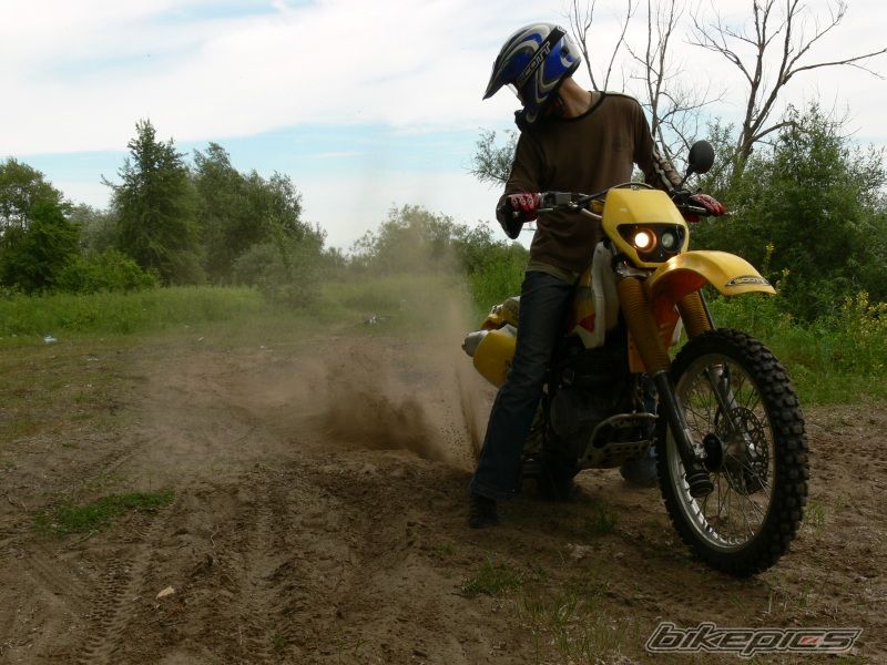 1993 SUZUKI DR 350 | Picture 623721 motorcycle photo