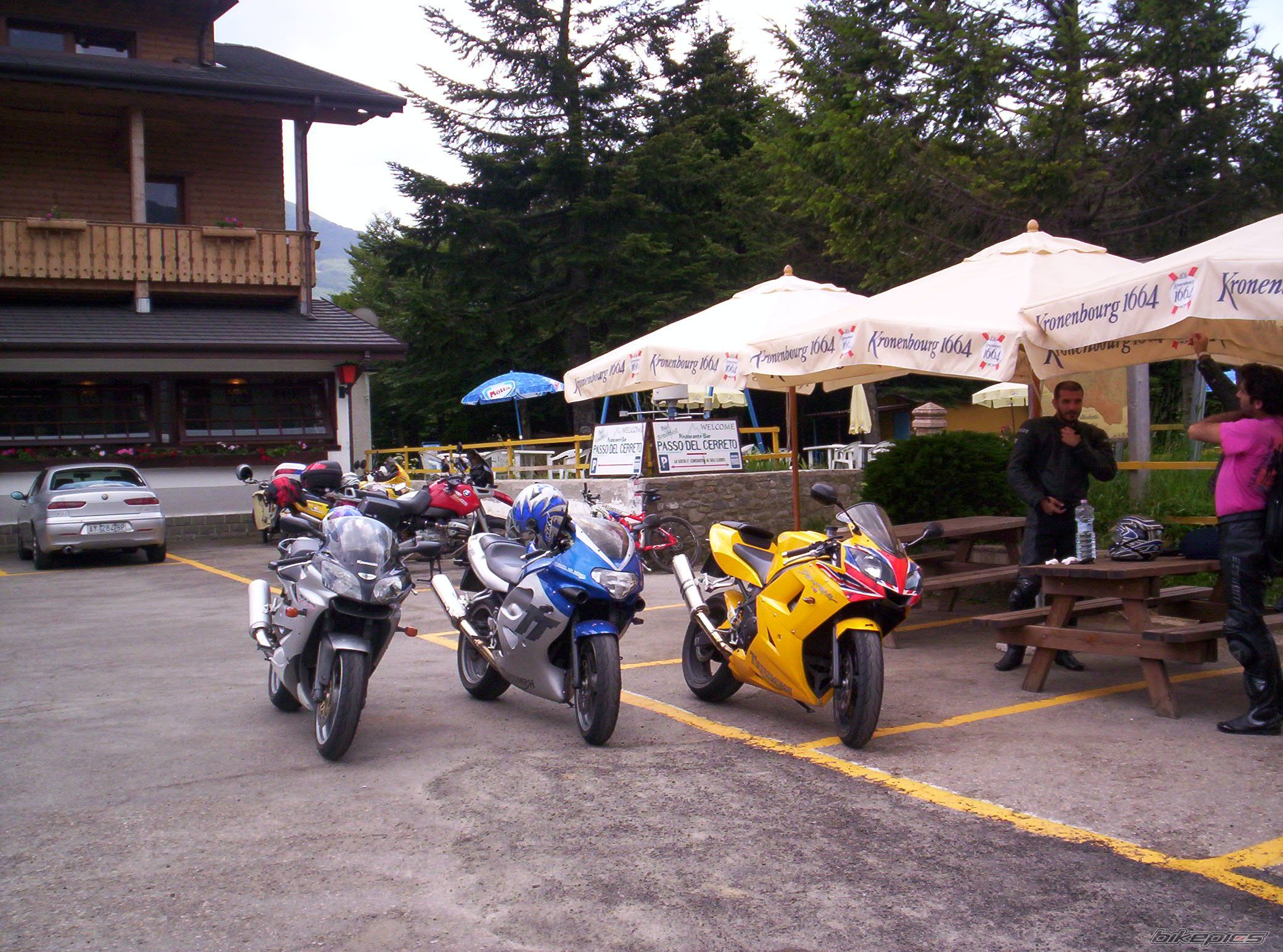 2002 TRIUMPH TT 600 | Picture 623837 motorcycle photo