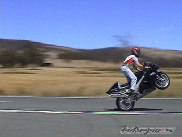 1999 SUZUKI TL1000R | Picture 62597 motorcycle photo