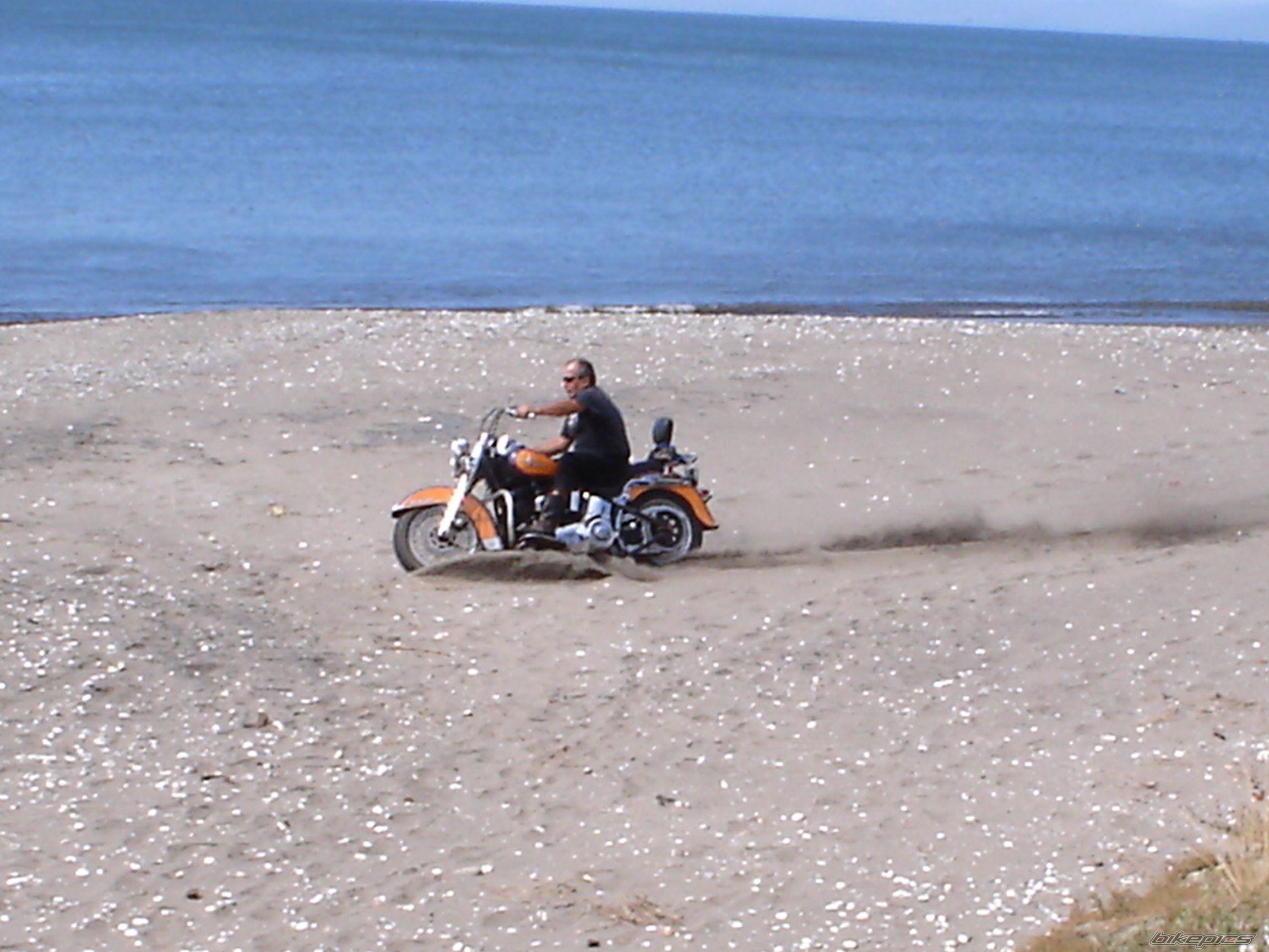 2005 HARLEY DAVIDSON CUSTOM | Picture 626184 motorcycle photo