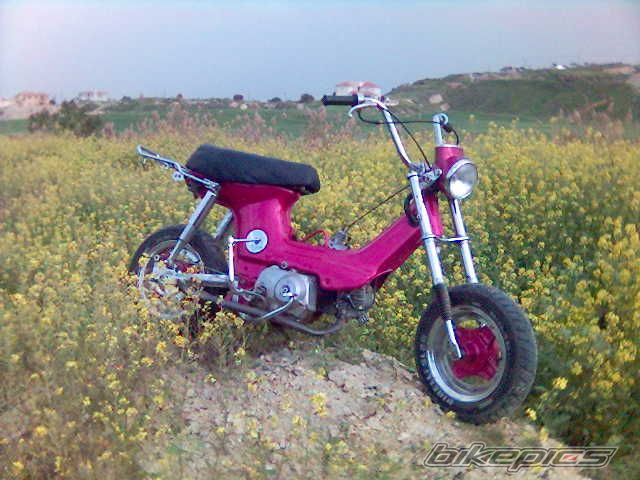 1987 HONDA CHALY | Picture 626260 motorcycle photo