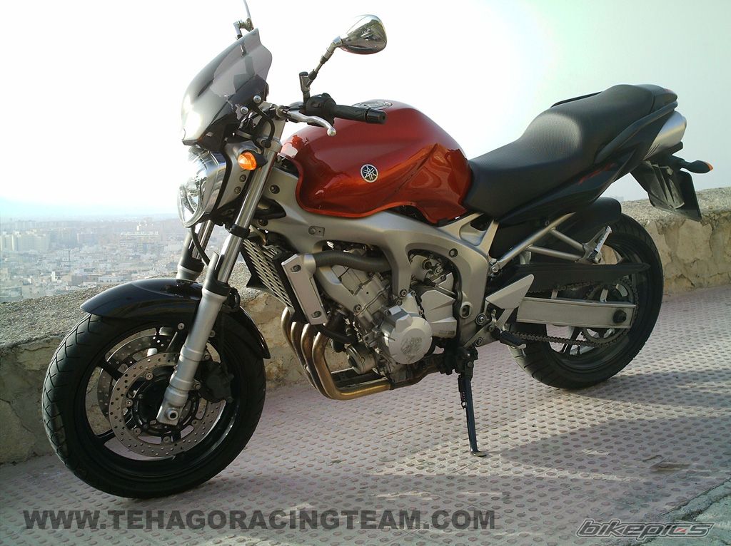 2004 YAMAHA FZ6 FAZER | Picture 626285 motorcycle photo