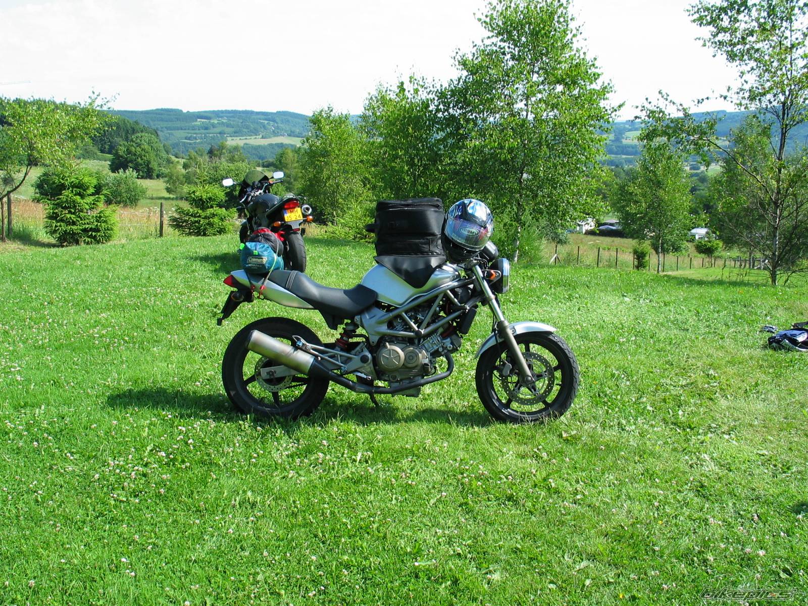 2001 HONDA VTR 250 | Picture 62653 motorcycle photo