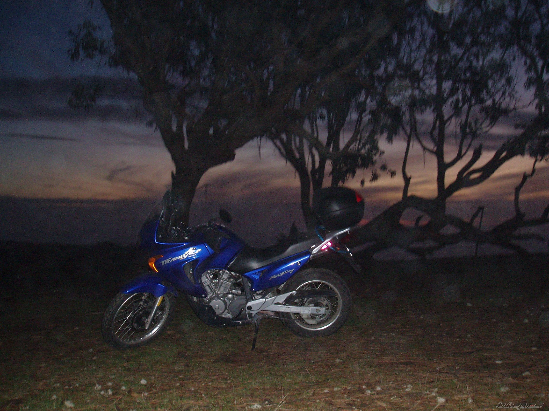 2004 HONDA XL 650V TRANSALP | Picture 626628 motorcycle photo