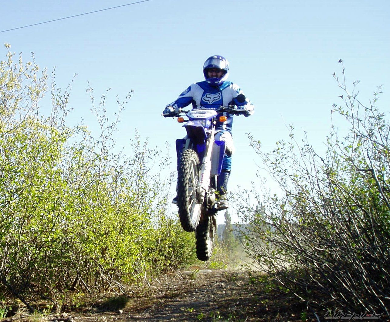 2006 YAMAHA WR 450F | Picture 626899 motorcycle photo