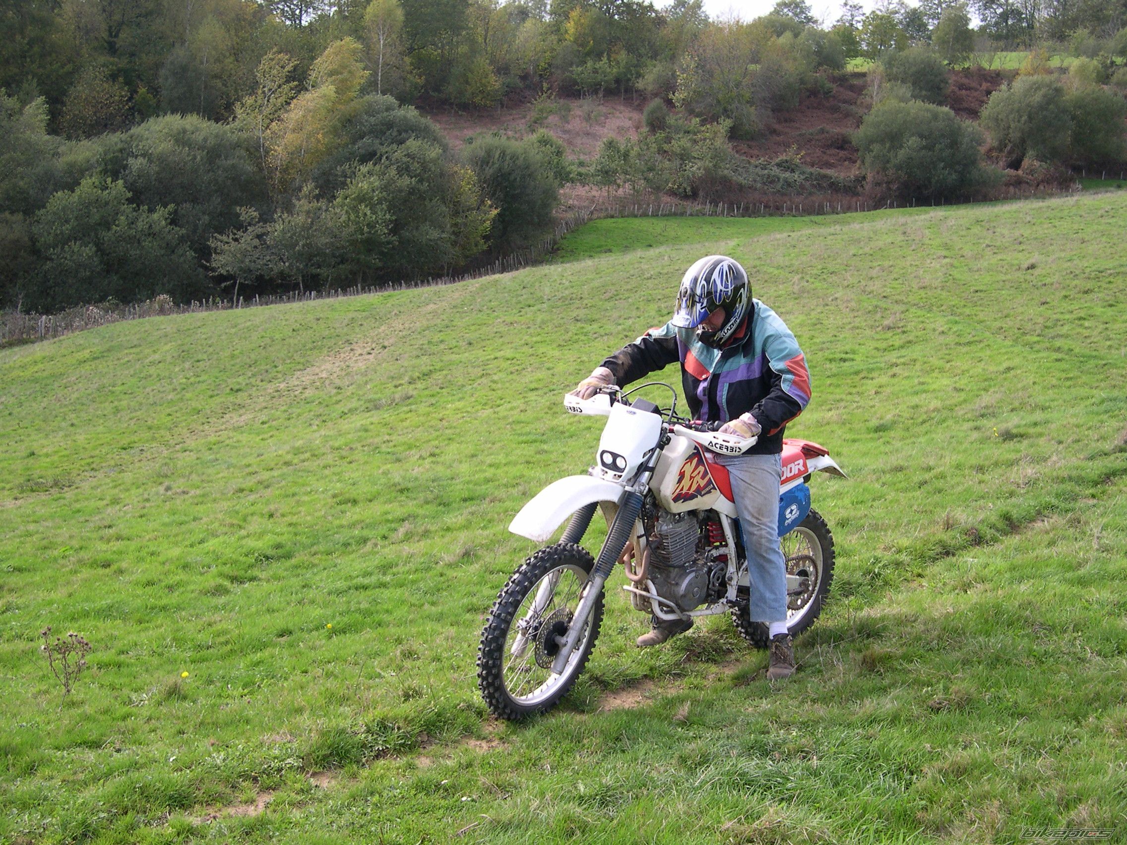 1991 HONDA XR 600 | Picture 627711 motorcycle photo