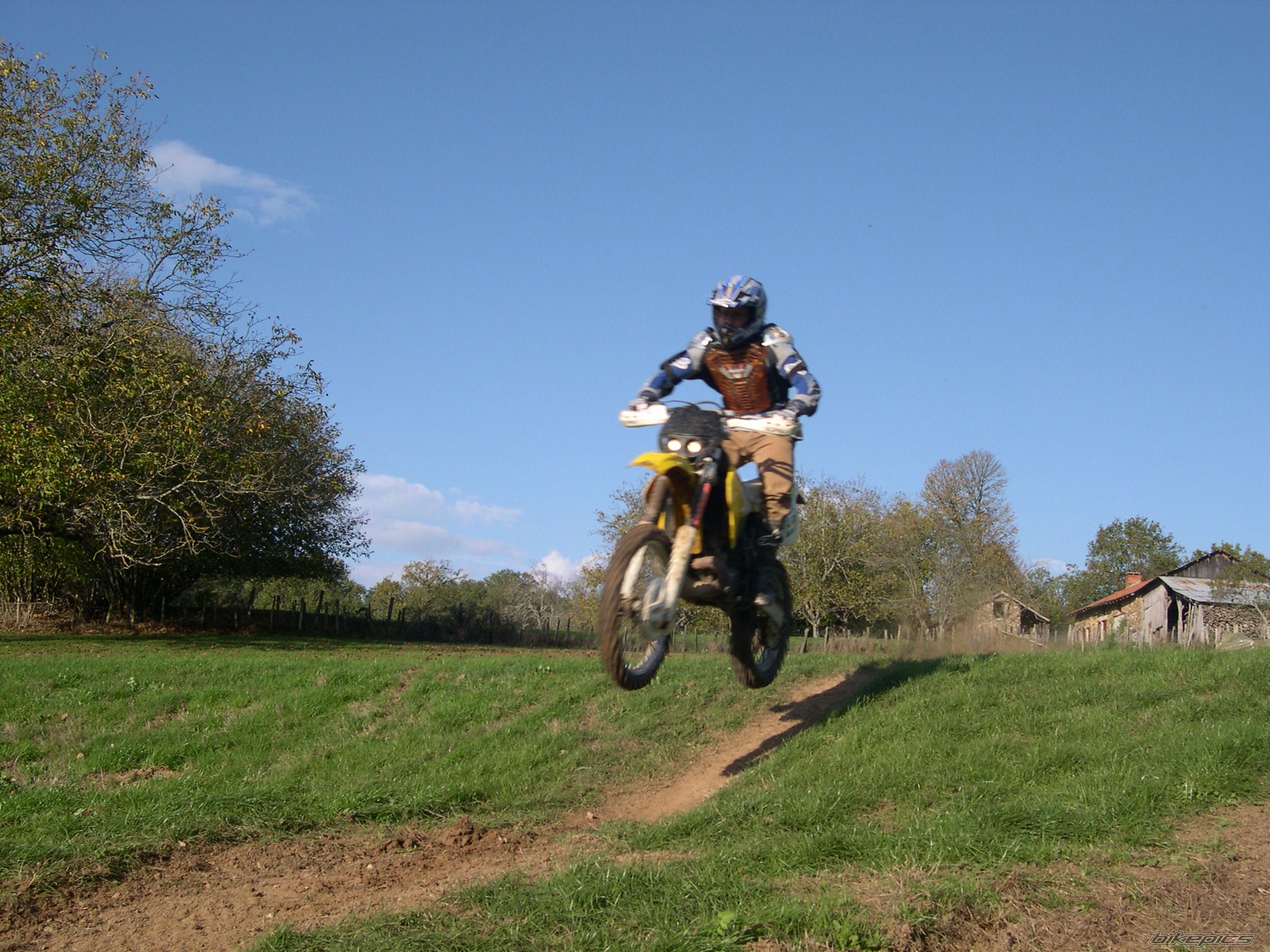 1995 SUZUKI RMX 250 | Picture 627729 motorcycle photo