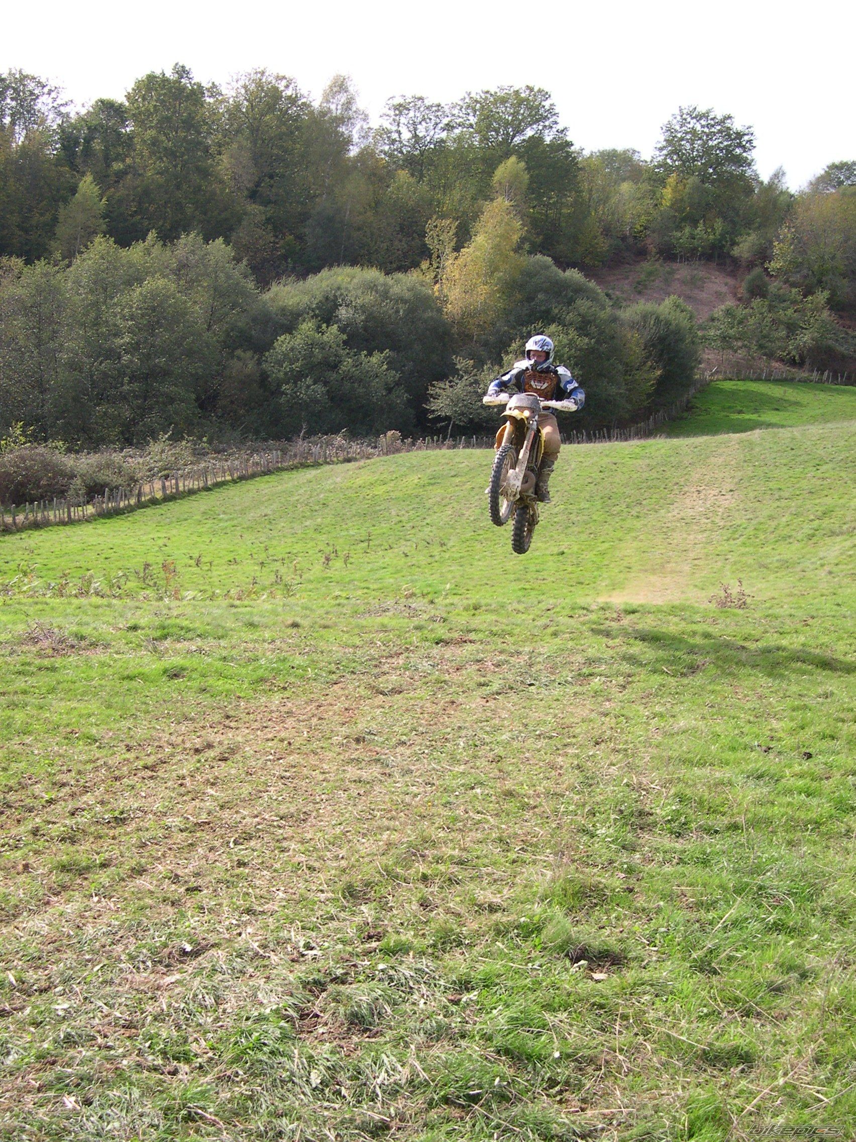 1995 SUZUKI RMX 250 | Picture 627734 motorcycle photo