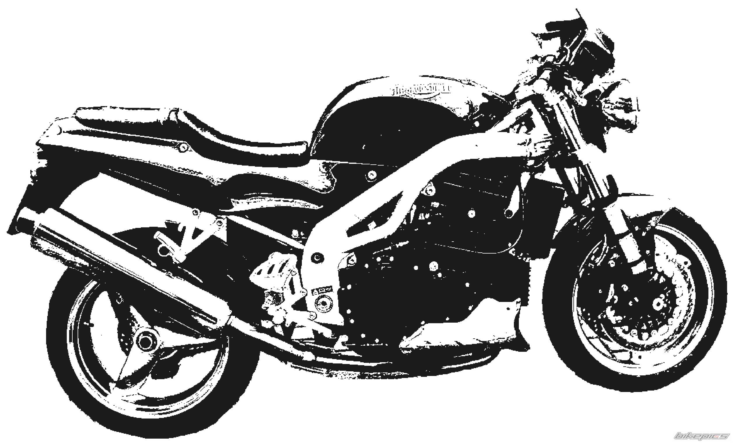 2000 TRIUMPH SPEED TRIPLE | Picture 62906 motorcycle photo