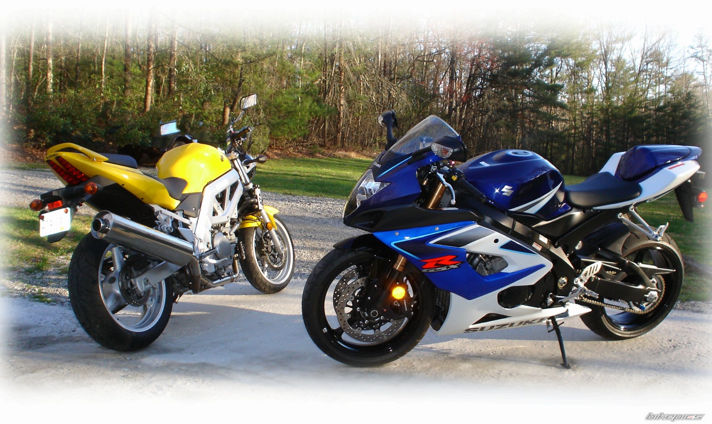 2004 SUZUKI SV 650 | Picture 629197 motorcycle photo
