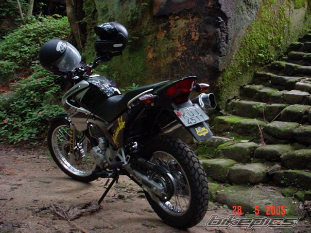 2005 HONDA NX 4 FALCON | Picture 629379 motorcycle photo