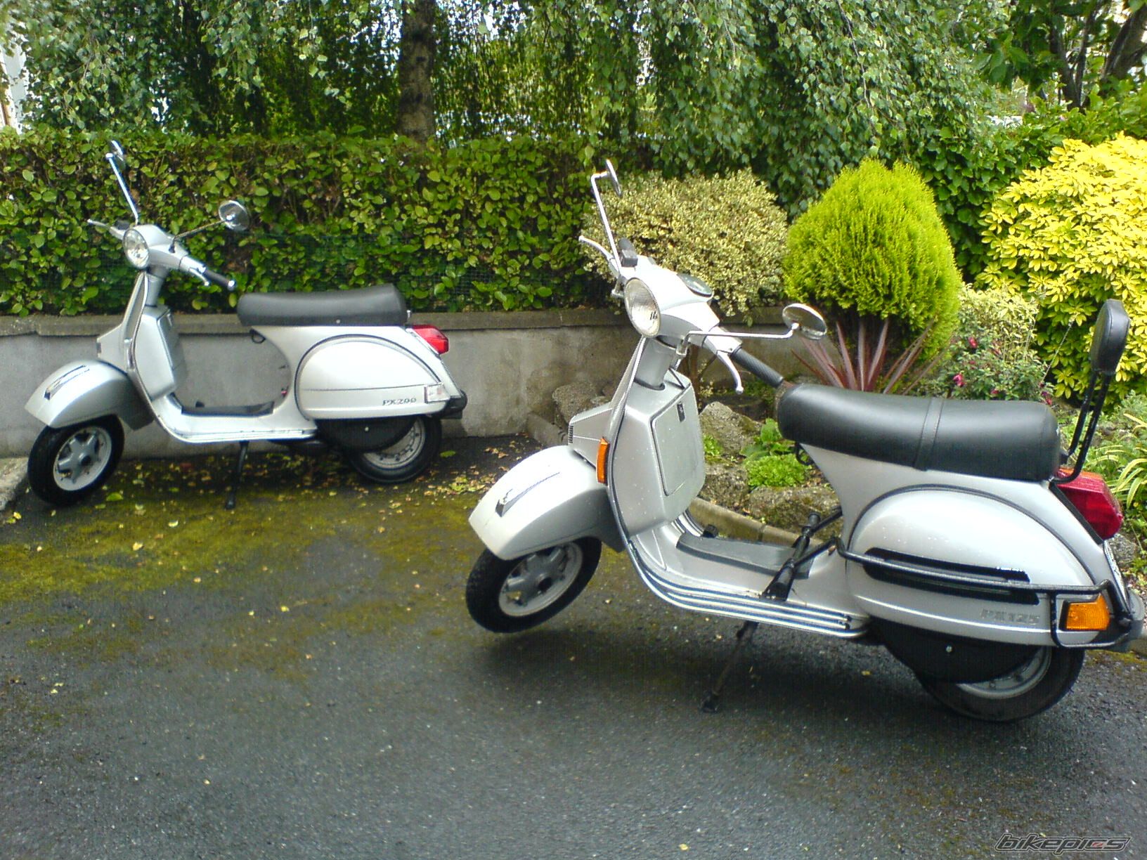 2001 VESPA PX 125 | Picture 629439 motorcycle photo