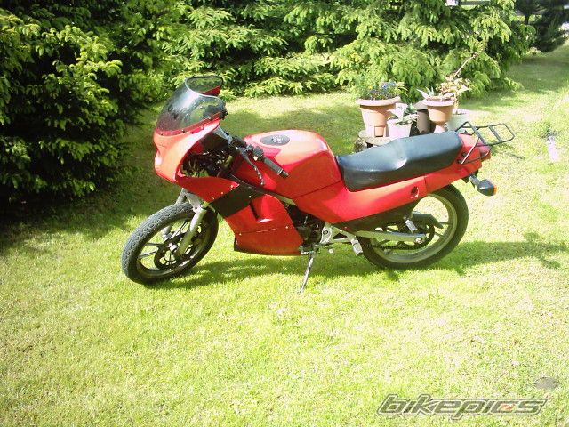 1994 SUZUKI RG 80 | Picture 629446 motorcycle photo