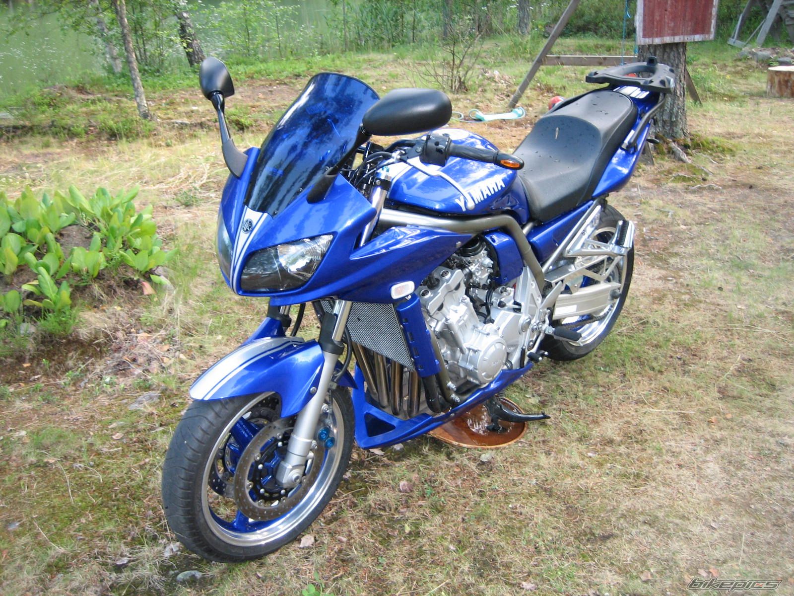 2002 YAMAHA FZ 1 | Picture 630120 motorcycle photo