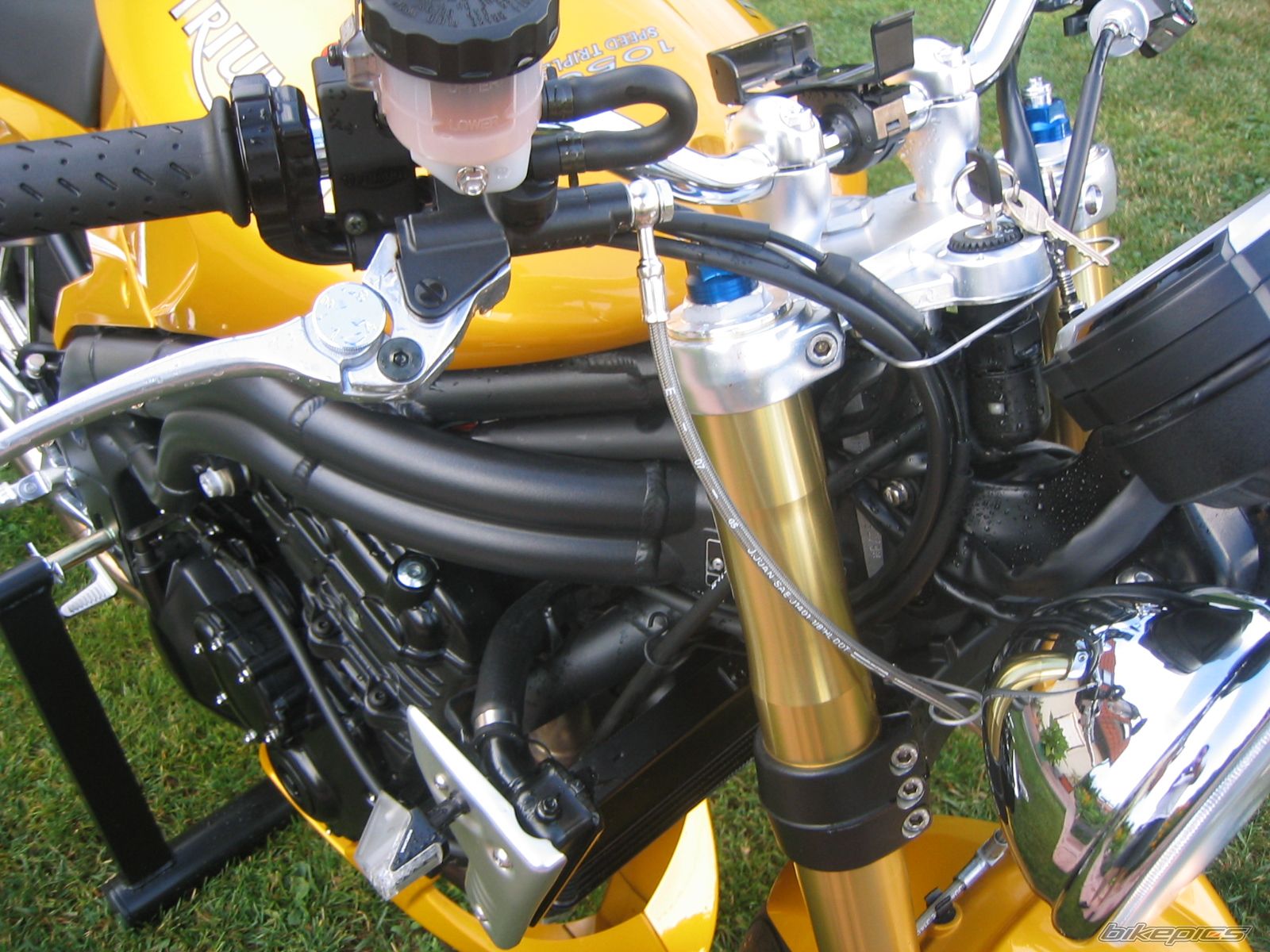 2006 TRIUMPH SPEED TRIPLE | Picture 630299 motorcycle photo