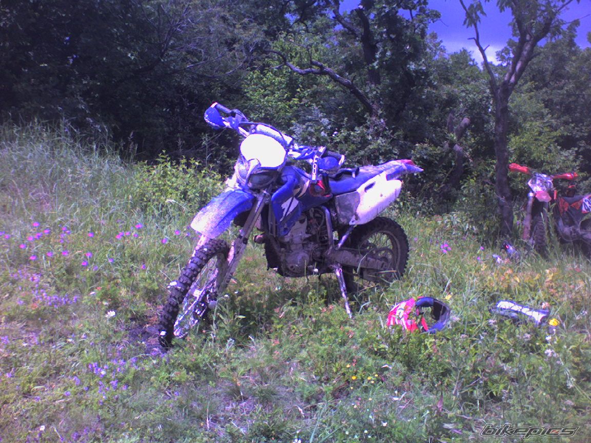2001 YAMAHA WR 400F | Picture 630375 motorcycle photo