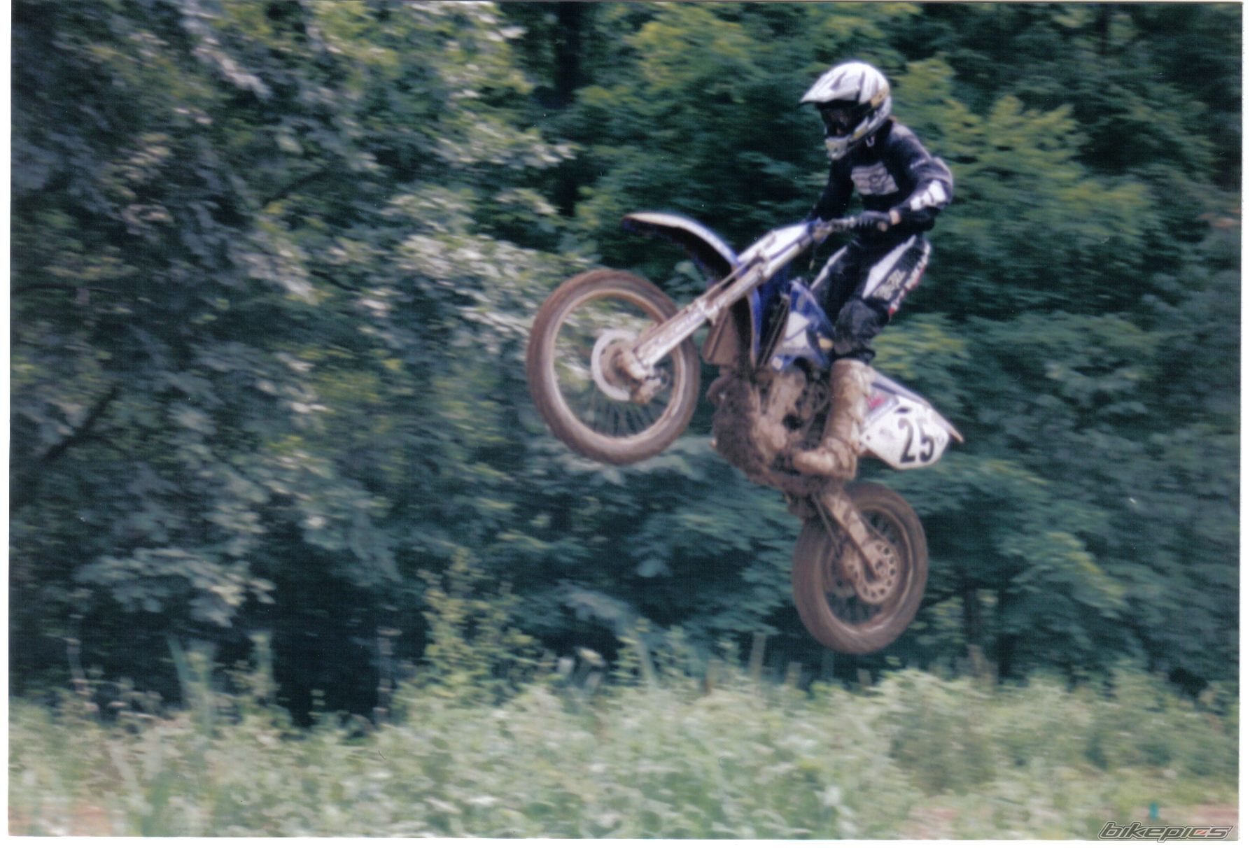 2003 YAMAHA YZ 450F | Picture 630804 motorcycle photo