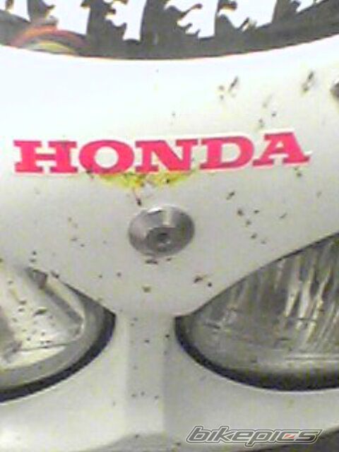 1993 HONDA CBR 900 | Picture 631188 motorcycle photo