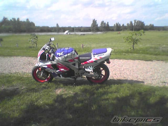 1993 HONDA CBR 900 | Picture 631194 motorcycle photo