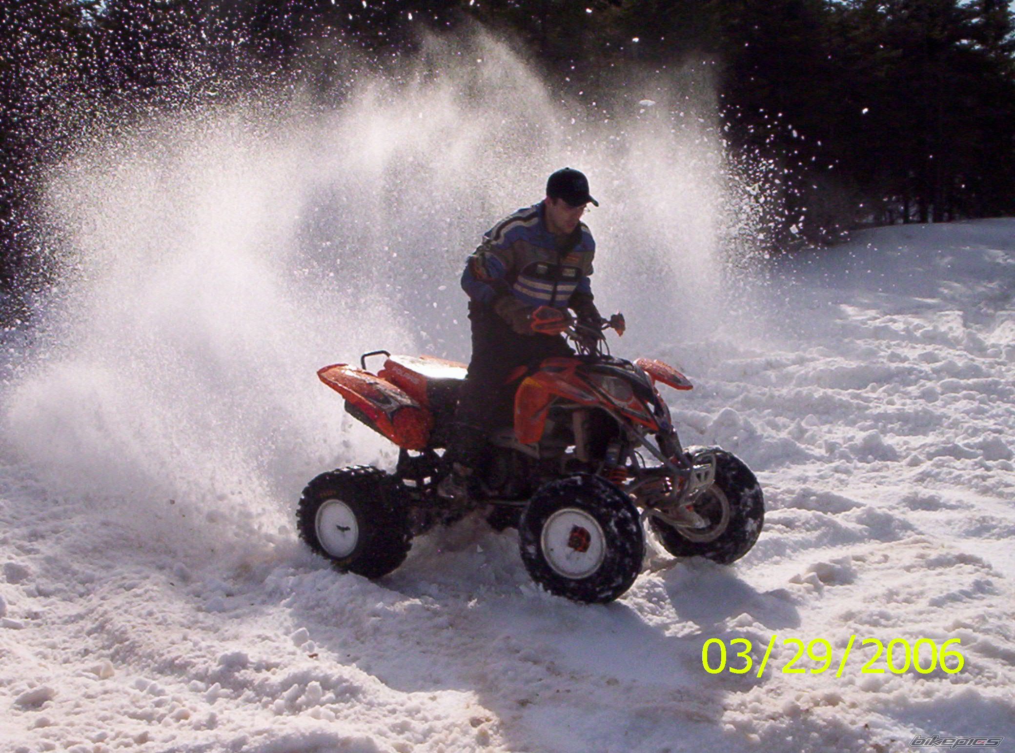 2005 POLARIS PREDATOR 500 | Picture 631401 motorcycle photo