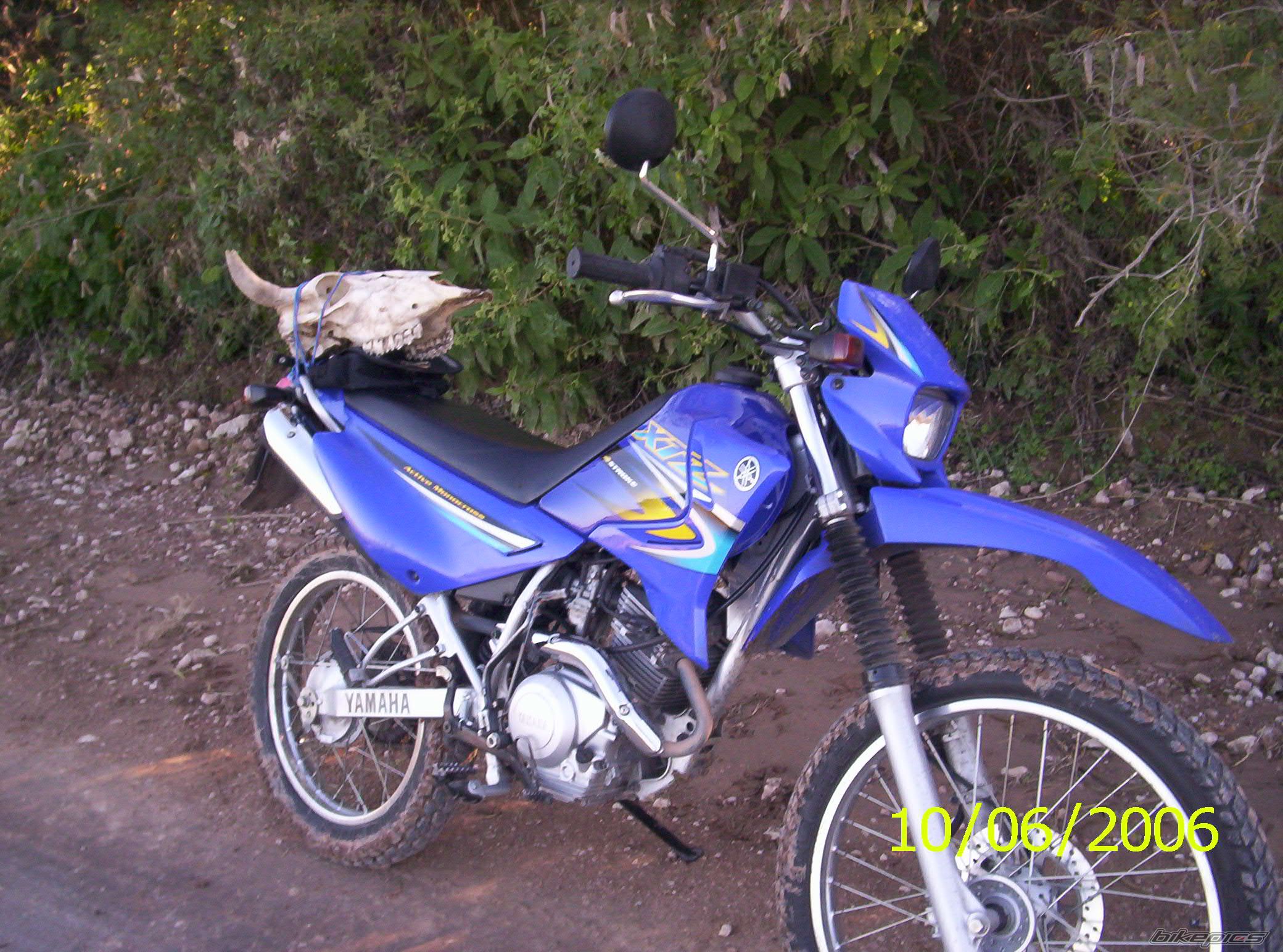 2006 YAMAHA XTZ 125 | Picture 631784 motorcycle photo