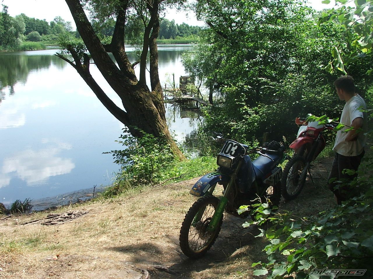 2001 HONDA XR 650 | Picture 632422 motorcycle photo