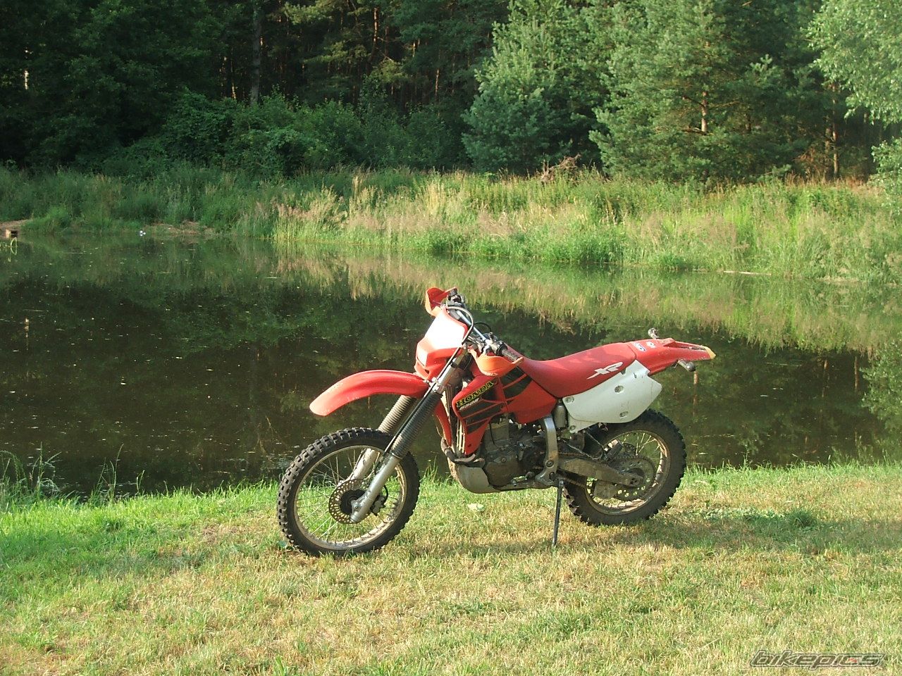 2001 HONDA XR 650 | Picture 632427 motorcycle photo