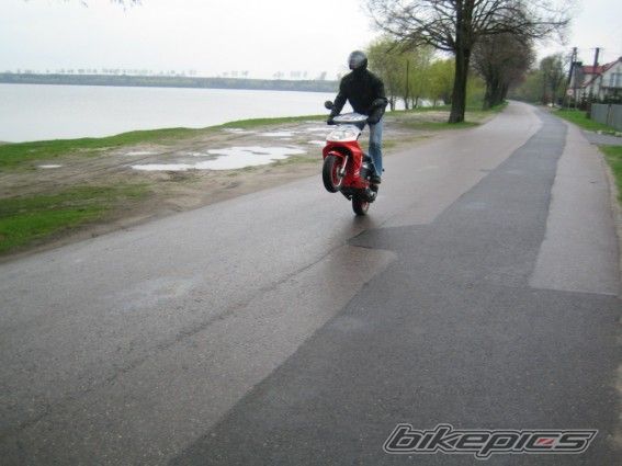 2004 DAELIM S FIVE 50 | Picture 632435 motorcycle photo