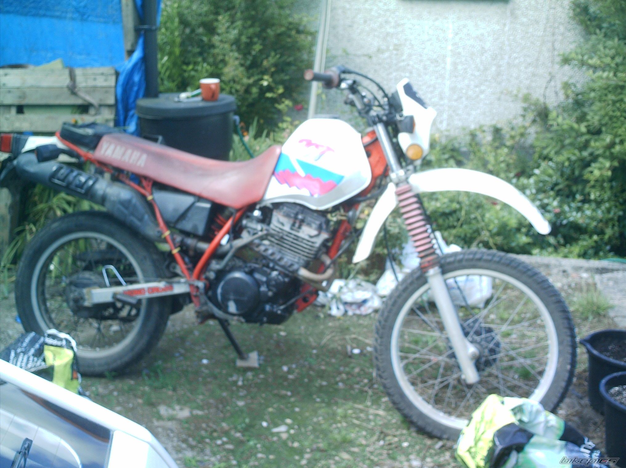 1983 YAMAHA XT 250 | Picture 632979 motorcycle photo
