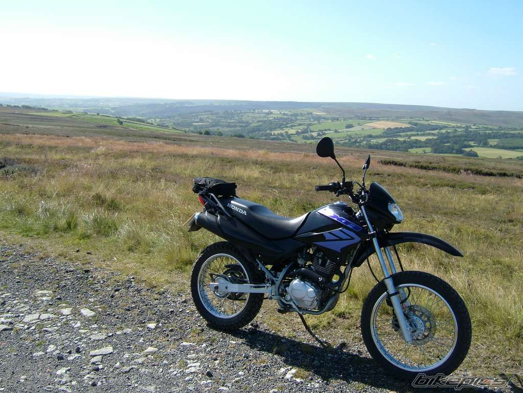2004 HONDA XR 125 | Picture 633069 motorcycle photo