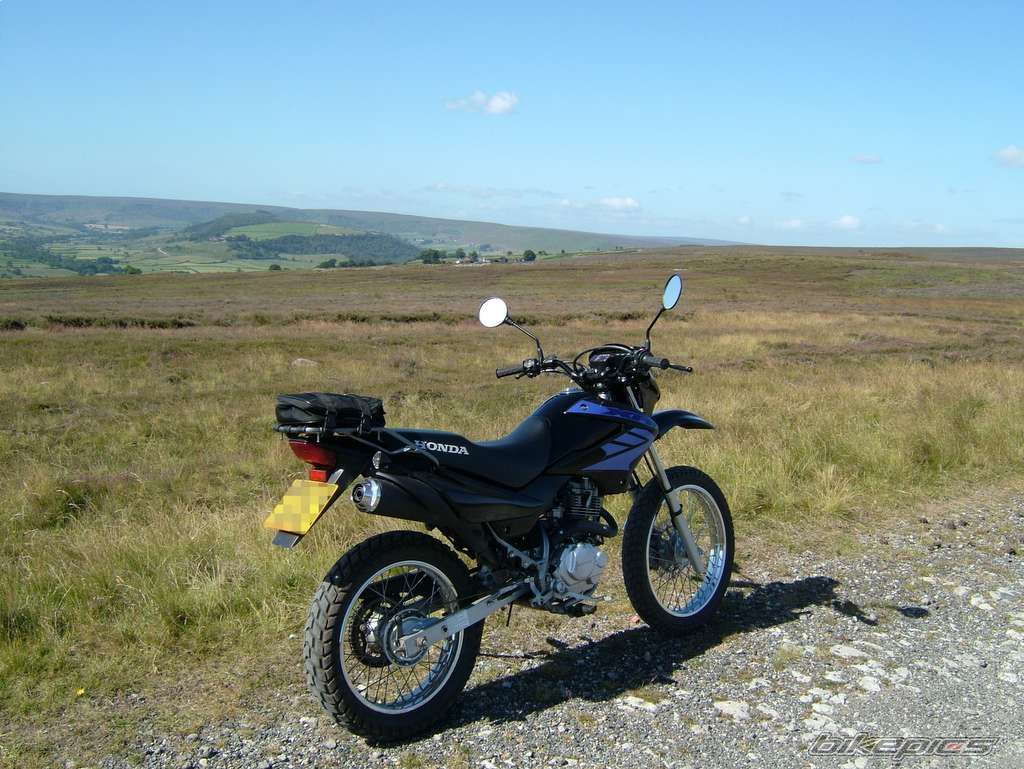 2004 HONDA XR 125 | Picture 633070 motorcycle photo