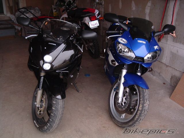 2001 HONDA CBR 600 | Picture 633475 motorcycle photo