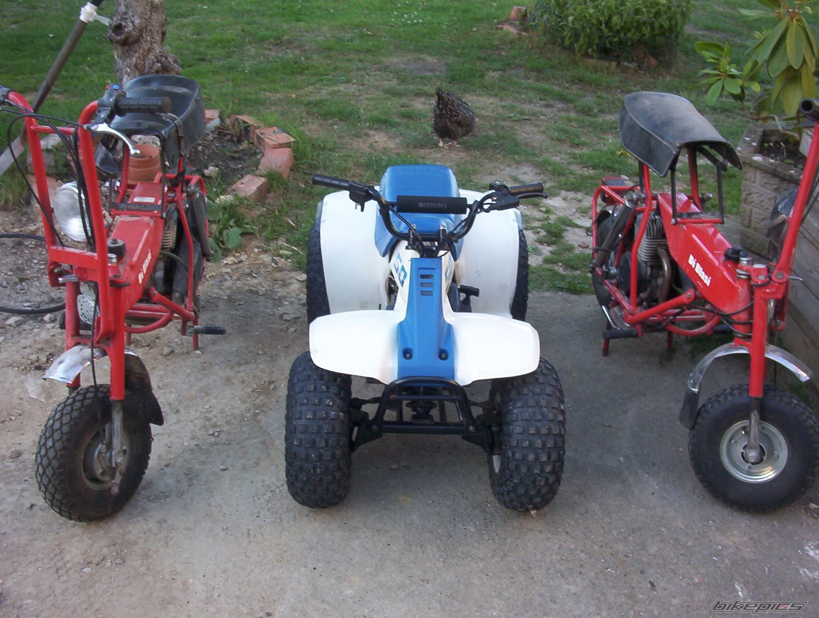 2000 SUZUKI LT 50 | Picture 633660 motorcycle photo