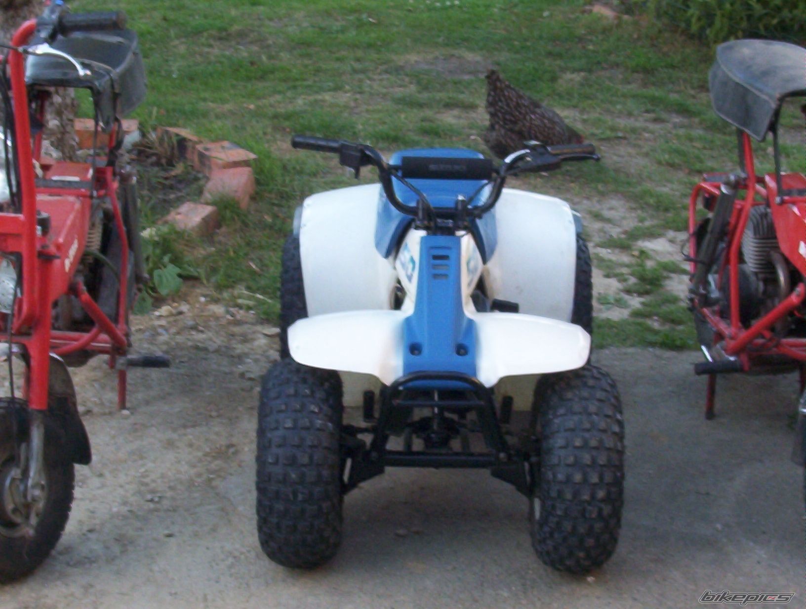 2000 SUZUKI LT 50 | Picture 633662 motorcycle photo