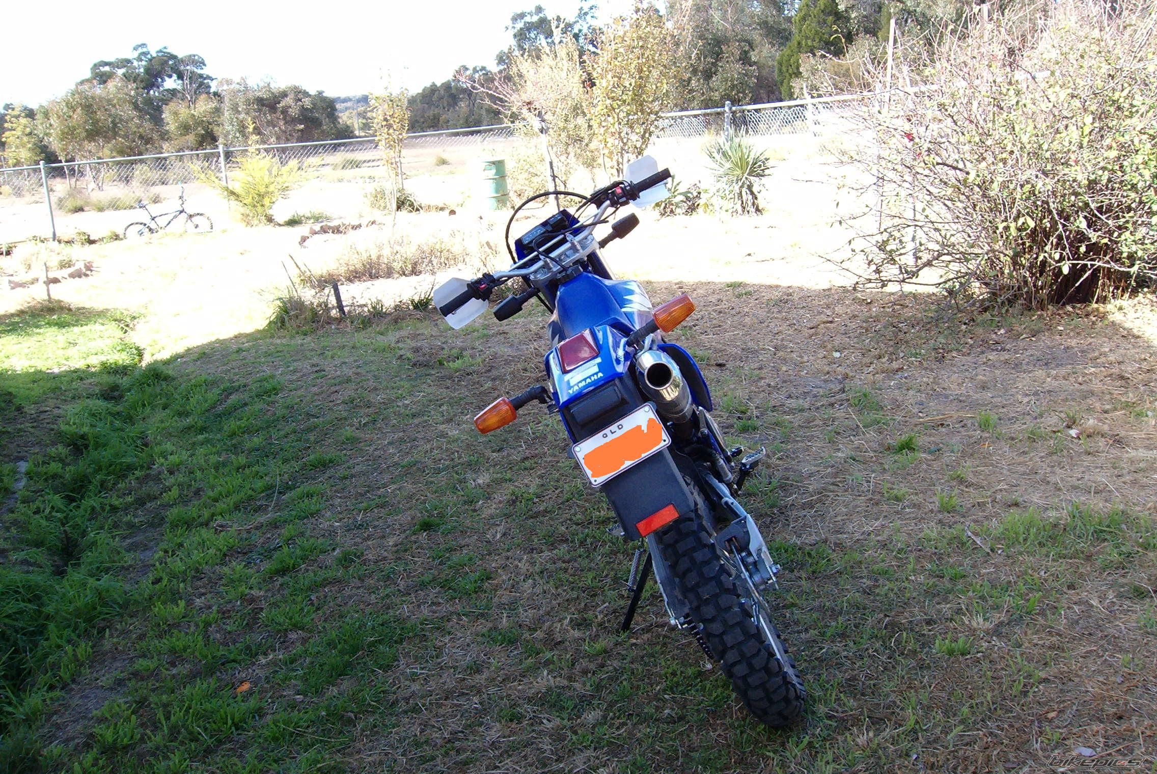 2005 YAMAHA TTR 250 | Picture 633894 motorcycle photo