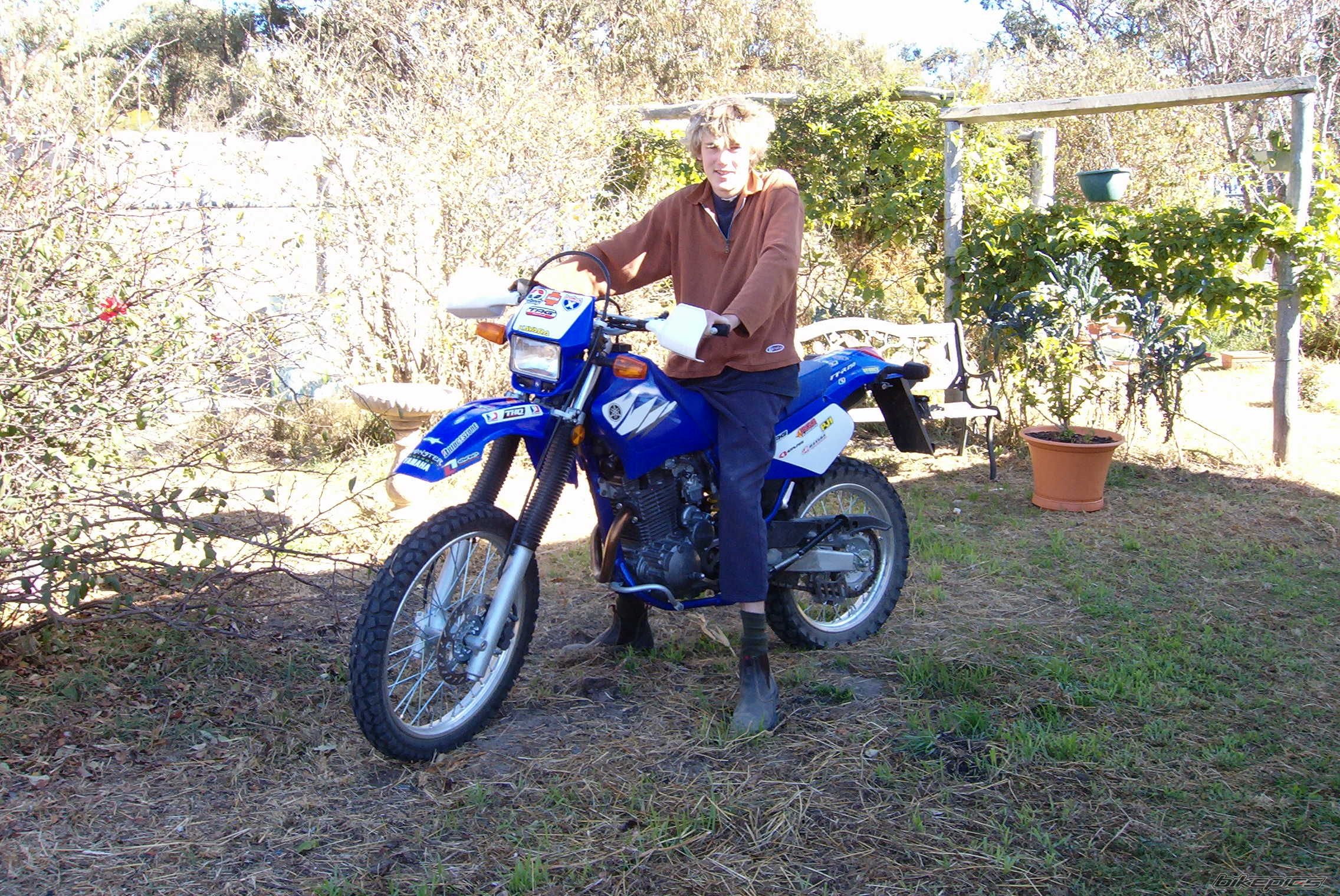 2005 YAMAHA TTR 250 | Picture 633903 motorcycle photo