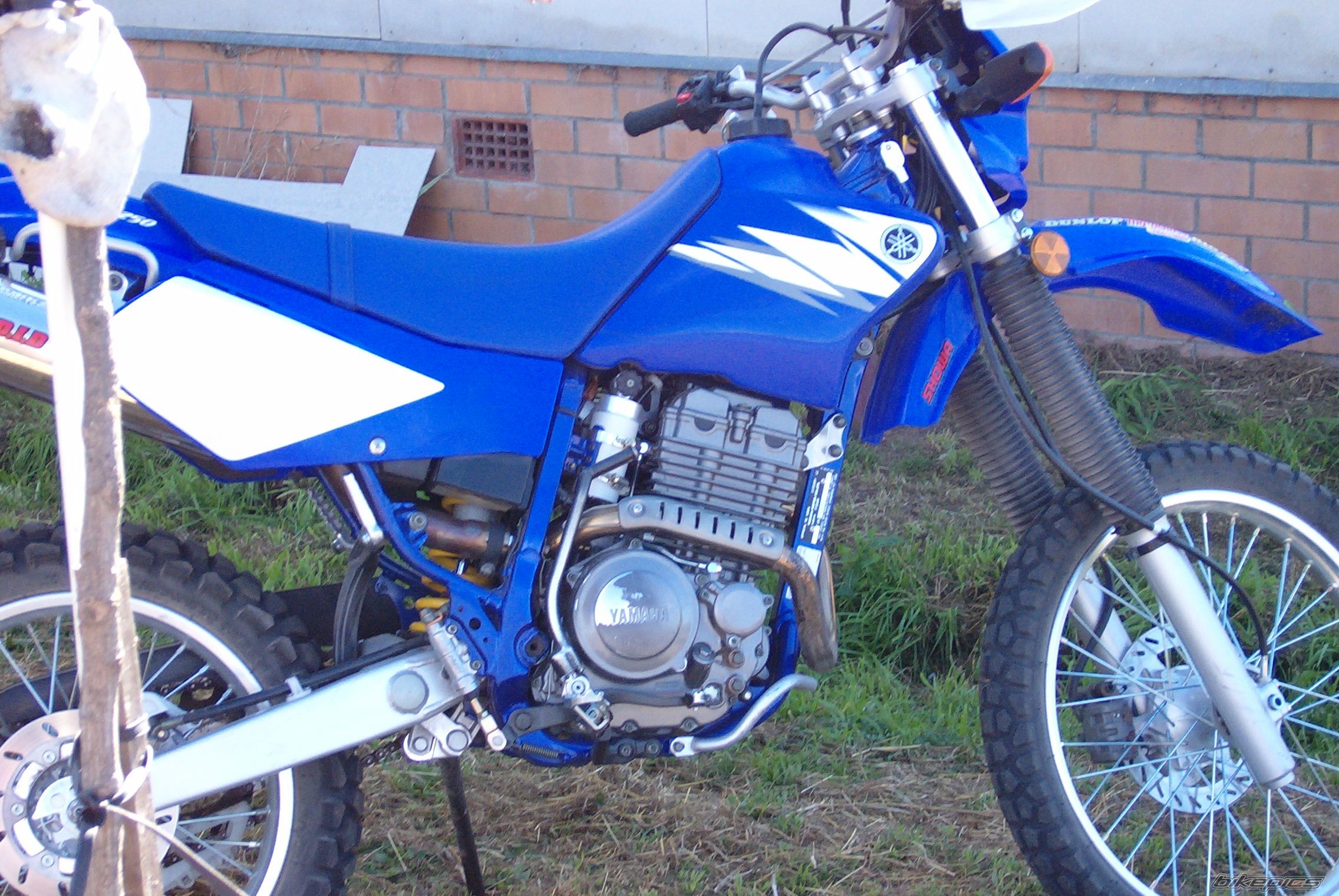 2005 YAMAHA TTR 250 | Picture 633904 motorcycle photo