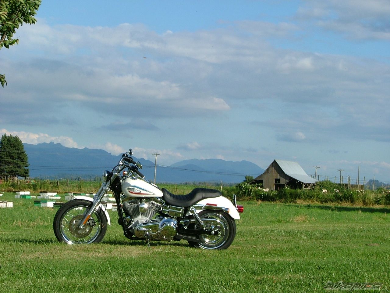 2006 HARLEY DAVIDSON FAT BOY ANNIVERSARY ED. | Picture 634137 motorcycle photo