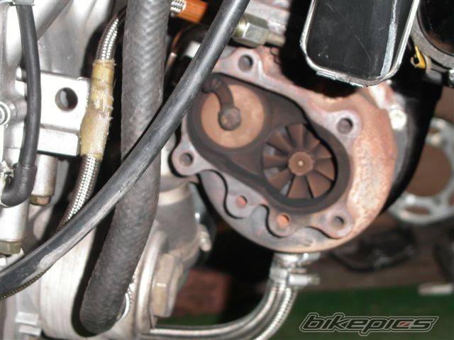 1999 YAMAHA YZF R1 | Picture 63463 motorcycle photo