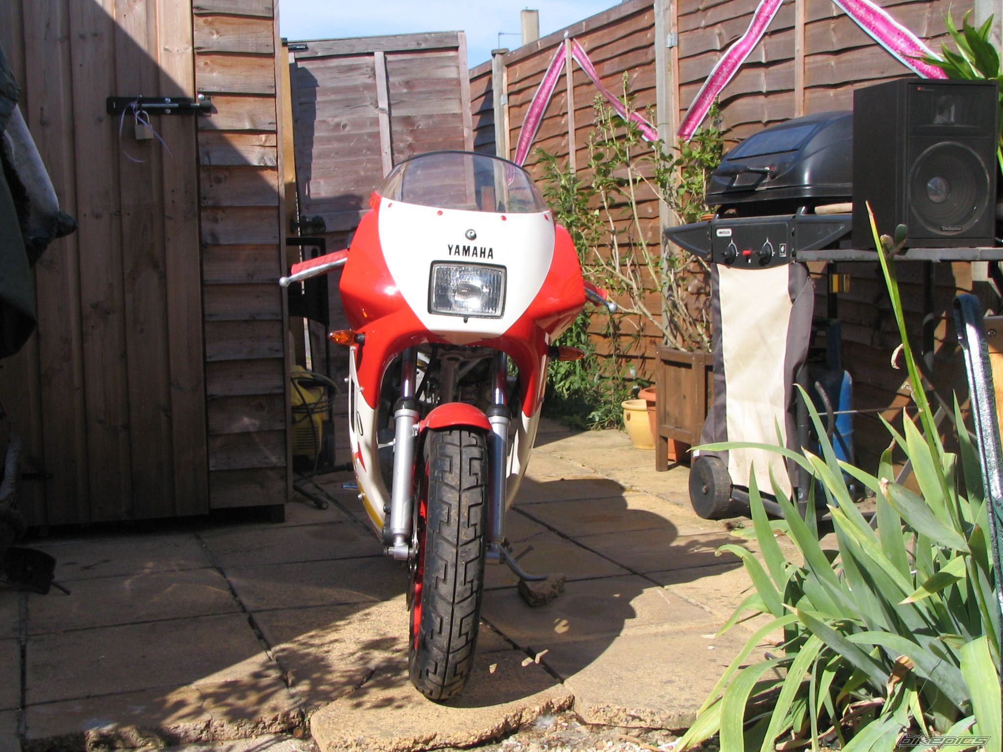 1987 YAMAHA YSR 50 | Picture 634836 motorcycle photo