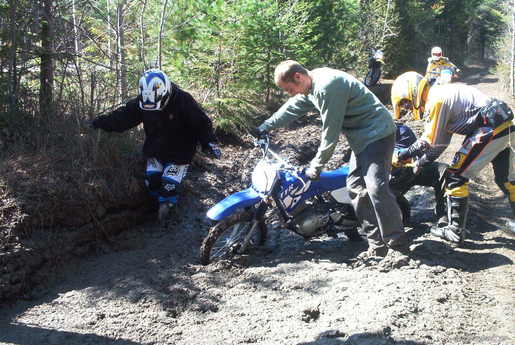 2003 YAMAHA TTR 125 | Picture 63507 motorcycle photo