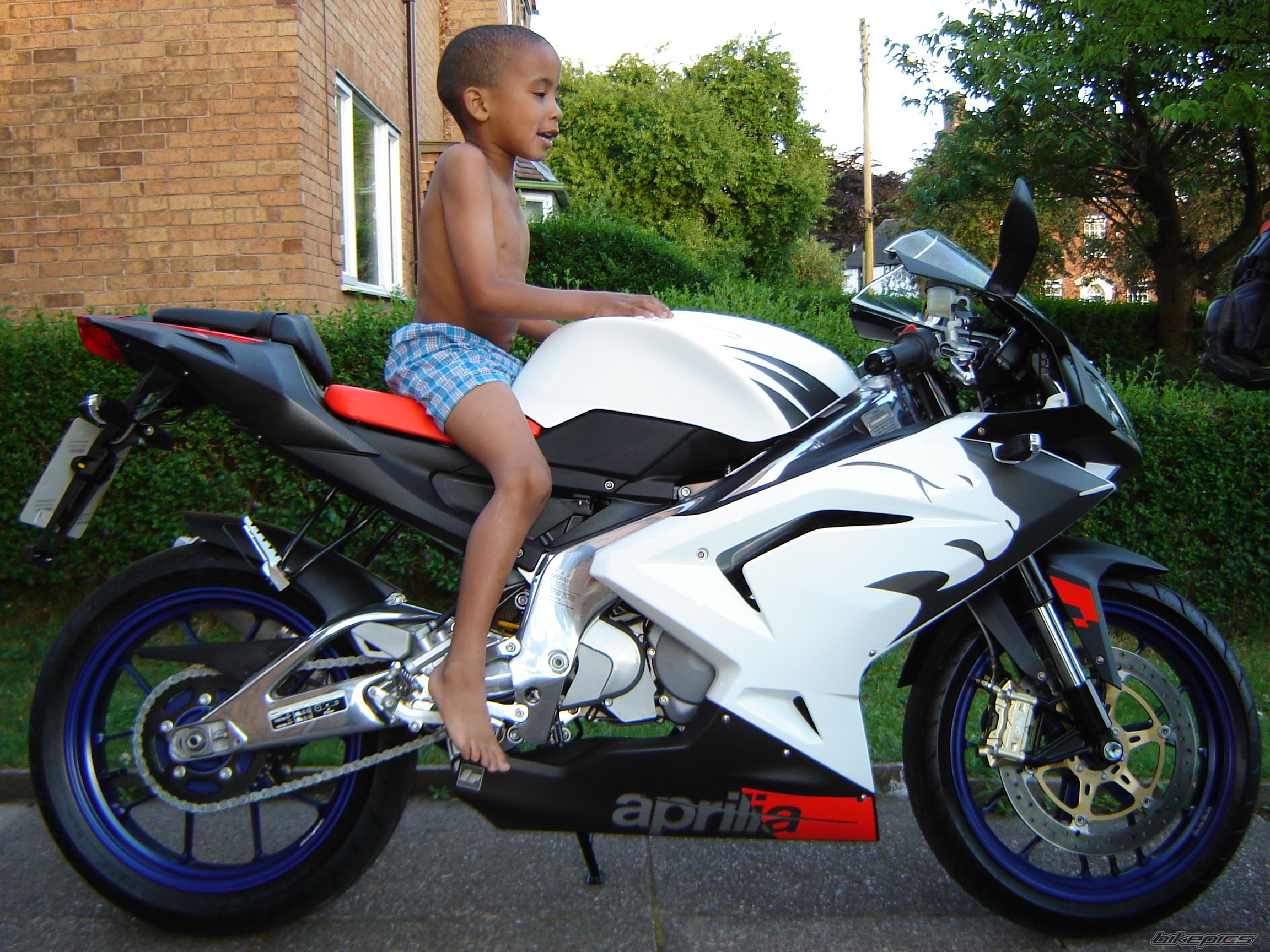 2006 APRILIA RS 125 | Picture 635437 motorcycle photo