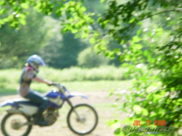 2002 YAMAHA WR 250F | Picture 635803 motorcycle photo