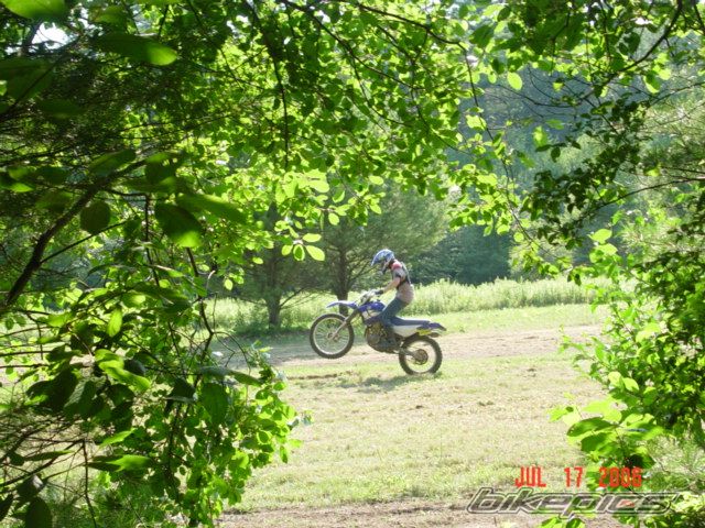 2002 YAMAHA WR 250F | Picture 635827 motorcycle photo
