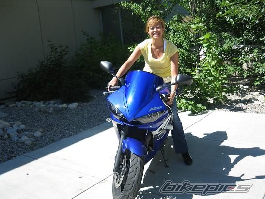 2003 YAMAHA YZF R6 | Picture 635981 motorcycle photo